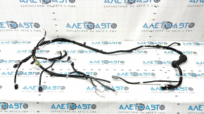 Toyota Rav4 19-25 trunk door wiring