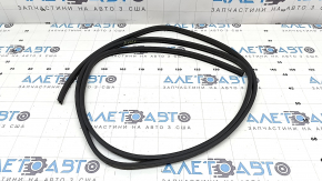 BMW X2 F39 18-23 Panoramic Window Seal