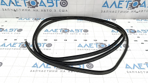 BMW X2 F39 18-23 Panoramic Window Seal