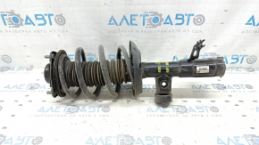 Shock absorber strut assembly front left Lexus ES300h 19-20