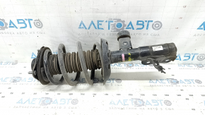 Shock absorber strut assembly front right Lexus ES300h 19-20