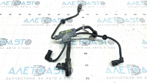 Wiring under the hood Lexus ES300h 19-23