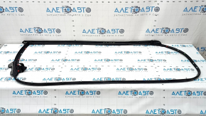 Lexus ES250 ES300h ES350 Front Right Door Seal 19-26