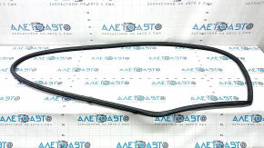 Rear left door seal for Lexus ES250 ES300h ES350 19-26