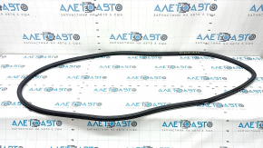 Rear right door seal for Lexus ES250 ES300h ES350 19-26