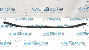 Hood seal Lexus ES250 ES300h ES350 19- on the hood