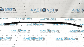 Hood seal Lexus ES250 ES300h ES350 19- on the hood