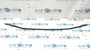 Lexus ES250 ES300h ES350 hood seal 19- on bumper