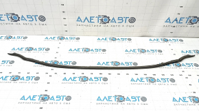 Lexus ES250 ES300h ES350 hood seal 19- on bumper