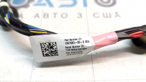 Tesla Model 3 18-23 Front Right Door Wiring