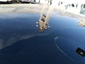 Metal roof Ford C-max MK2 13-18 panorama on the body, bumpers