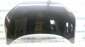 Naked hood Nissan Ariya 23-26 aluminum, green DAP