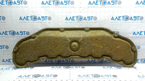 Nissan Ariya 23-26 hood insulation tears