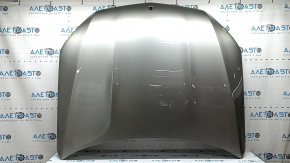 Naked hood Mercedes X167 GLS 450 580 20-26 aluminum, silver 859