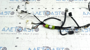 Toyota Prius 50 Prime 16-22 lower trunk lid wiring