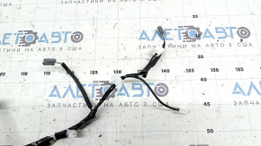 Toyota Prius 50 Prime 16-22 lower trunk lid wiring