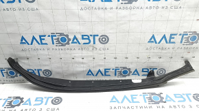 Chevrolet Equinox EV 24-26 front right door seal