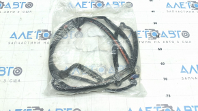 Lexus GX460 10-23 Front Rear Right Door Seal