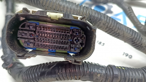 Underhood wiring for Chevrolet Equinox EV 24-26 FWD