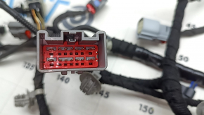 Chevrolet Equinox EV 24-26 Tailgate Wiring