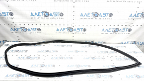 Door seal front right Hyundai Ioniq 17-22