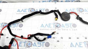 Wiring for the rear left door of the Hyundai Ioniq 17-22