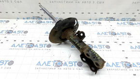 Front right shock absorber Toyota Prius 50 Prime 17-18 FWD, rusty