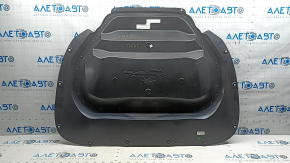 Ford Mustang Mach-E 21-26 hood insulation scratches