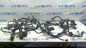 Ford Mustang Mach-E 21-26 Engine Bay Wiring