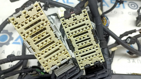 Ford Mustang Mach-E 21-26 Engine Bay Wiring