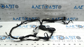 Wiring rear left trunk door Ford Mustang Mach-E 21-26