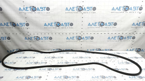 Front left door seal BMW X3 F25 11-17