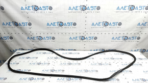 Front right door seal BMW X3 F25 11-17