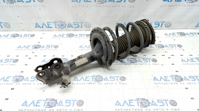Shock absorber strut assembly front right Toyota Camry v50 13-14 usa LE, XLE
