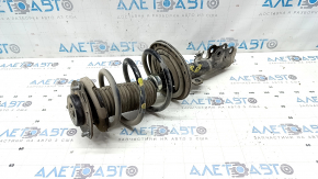 Shock absorber strut assembly front right Toyota Camry v50 13-14 usa LE, XLE