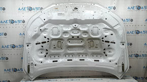 Bare hood Honda Accord 23-26 aluminum, white NH-883P