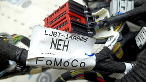 Wiring for the interior and engine compartment of the Ford Mustang Mach-E 21-26