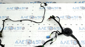 Wiring for the rear left door of the Audi Q8 19-26