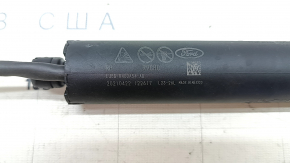 Trunk Door Shock Absorber Right Ford Mustang Mach-E 21-23 Electric
