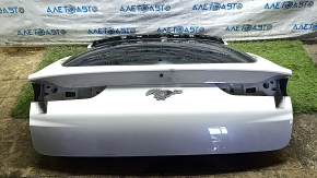 Naked tailgate with glass Ford Mustang Mach-E 21-26 white A3, plastic, with emblem, spray paint, traces of repair