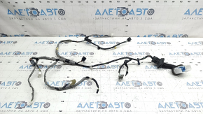 Front left door wiring Honda Insight 19-22