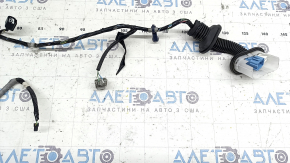 Front left door wiring Honda Insight 19-22