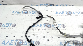 Front right door wiring Honda Insight 19-22