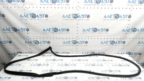 Nissan Murano z52 15-24 front left door seal