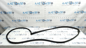 Nissan Murano z52 15-24 front right door seal
