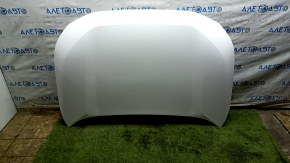 Naked hood Toyota Rav4 19-25 aluminum, white 040, chips