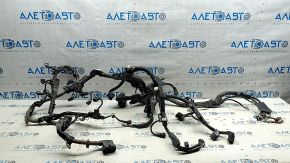Toyota Rav4 19-25 hybrid engine wiring