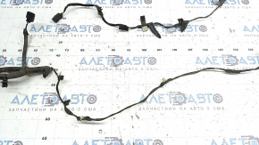 Wiring for the front bumper of a Ford Edge 19-24 without parking sensors