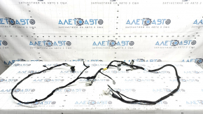 Ford Edge 19-24 Tailgate Wiring