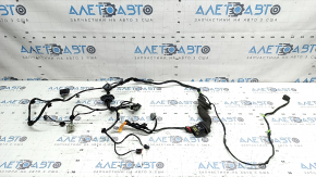 Ford Edge 19-24 keyless front left door wiring